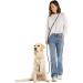 Hands-Free Dog Leash - 2m Adjustable Belly Belt 3-in-1 Running & Training Leash for Large & Small Dogs - Rope Leash in Black - Buy Online on GoSupps.com