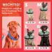 Aschpas Inflatable Break Ruff Dog Collar - Protective Layer for Long Snouts | Cat & Dog Leak Protection | Comfort After Surgery | Size M - Buy Online on GoSupps.com