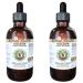 Coleus Alcohol-Free Liquid Extract Coleus (Coleus Forskohlii) Dried Root Glycerite Hawaii Pharm Natural Herbal Supplement 2x4 oz 8 Fl Oz (Pack of 1)