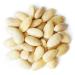 1lb Blanched Whole Almonds - Non-GMO Raw Unsalted Almonds, High Protein & Fiber, Keto Vegan Kosher Snack for Desserts - 1lb Pack - Buy Online on GoSupps.com