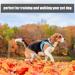 Fingertoys 5m Waterproof Dog Leash | Hand Loop & Mains Bag | Perfect for Training All Dog Sizes - Buy Online on GoSupps.com