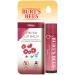 BURTS BEES Daisy Tinted Lip Balm 4.25 GR