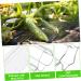 Parliky 4pcs Shaped Plastic Fruit Star Cucumber Shaper Vegetable Growing Tools Shape Machine - Buy Online on GoSupps.com