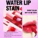 High Pigment Waterproof Lip Stain & Cheek Tint HDN 05 - Long Lasting, Quick Dry, Non-Stick Cup Formula - Buy Online on GoSupps.com