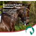 Primeval Stressless Horse Injector - Natural Herbs & Vitamins for Stress Relief | 30 ml | Ideal for Transport & Vet Visits - Buy Online on GoSupps.com