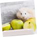 BESPORTBLE Box Hamster Toilet Dog Potty Tray Pet Toilet Potty Trainer Pet Grate Rabbit Toilet Pp White 24.5X19.5X3CM White - Buy Online on GoSupps.com
