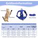 Adjustable Deep Blue Cat Dishes for Kittens & Puppies | Optimal Feeding Solution - Shop Internationally - Buy Online on GoSupps.com