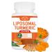 2200mg Liposomal Turmeric Curcumin Supplement with Black Pepper & Ginger Enhanced Absorption - 95% Curcumin Extract for Joint Support 60 Capsules