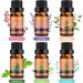 AMMIY Essential Oils Gift Set - 6*10ml Aromatherapy Diffuser Oils with Lavender, Gardenia, Cherry Blossom, Eucalyptus, Tea Tree, Peppermint, and Orange - Natural Fragrance Set - Buy Online on GoSupps.com