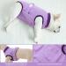 Convinite Recovery Suit for Dogs - Breathable Wound Protection after Castration | Comfortable & Adjustable for Male and Female Dogs - Lilac L - Buy Online on GoSupps.com