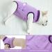 Convinite Recovery Suit for Dogs - Breathable Wound Protection after Castration | Alternative to Cone | Perfect for Male & Female Dogs - Purple - Buy Online on GoSupps.com
