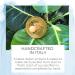 Natural Rubber Pacifiers - BPA-Free, Soft, Handcrafted in Italy - 2-Pack (Large) - Buy Online on GoSupps.com