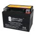 Mighty Max Battery YTX4L-BS SLA Replacement Battery for EverStart ES4LBS