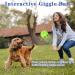 Divinggoe 3.94 Dog Ball - Durable Kickball for Indoor & Outdoor Play | Ideal Dog Game for Active Pets - Buy Online on GoSupps.com