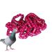 50 Multicolored Aluminum Pigeon & Chicken Leg Rings | Bird Identification Foot Rings - Training Accessories - Buy Online on GoSupps.com
