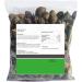 Ko rai Kil Angu 100g Gra ss Natural Herbal Powder - Buy Online on GoSupps.com