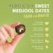 Dorrel Dark Chocolate Covered Medjool Dates with Pistachios | Nutritious High-Energy Snack | Non-GMO & Kosher | 1 Pack - Buy Online on GoSupps.com