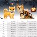 Buy Hipet Recovery Suit for Dogs & Cats - Abdominal Wound Protection Anti-Licking XS Halloween Edition - Buy Online on GoSupps.com
