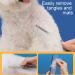 JdXun Pet Comb Set - 2 Stainless Steel Dog & Cat Brushes for Knot Removal | Rounded Teeth Pet Grooming Tools (19 x 3.3cm) - Buy Online on GoSupps.com