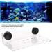Jeanoko Coral Rack Holder - 23 Holes Frag Rack for 3 Coral Species | Healthier Coral Growth - Buy Online on GoSupps.com