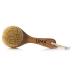 UMA Lymphatic Detox Dry Brush | Ayurvedic Self-Care Tool for Detox Circulation & Glow | Combats Toxins & Inflammation for Radiant Skin (1 unit)