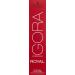 Schwarzkopf Igora Royal 12-19 Special Blonde Cendr Violet Hair Color - Premium 60g Pack for Vibrant Results - Buy Online on GoSupps.com