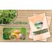 Zest of Moringa Green Tea Leaves - Organic Moringa Tea Leaves | Premium Quality Moringa Oleifera Tea - Pack of 50g - Buy Online on GoSupps.com