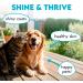 Omega 3 Chews for Dogs - 150Pcs - Dog Skin and Coat Supplement - Rich in EPA & DHA Fatty Acids - Itching Skin Relief Chews - Reduce Hair Shedding - Made with Fish Oil - Chicken - Buy Online on GoSupps.com