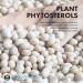 Source Naturals Phytosterol Complex - Beta-Sitosterol 113mg | 180 Tablets for Heart Health - Buy Online on GoSupps.com