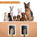 4 PCs Baby & Pet Footprint Set - Clean Touch Handprint & Paw Print for Baby Showers & Pet Owners - Buy Online on GoSupps.com
