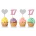 MonMon & Craft 17th Birthday Cupcake Toppers - Number 17 Sign - Girls 17th Birthday Cupcake Toppers - Sweet 17 Dessert Decor- Cheers to 17 Years Party Decorations Pink Silver Glitter - 24 Pcs