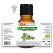 Organic Rosemary Essential Oil 10ml - 100% Pure Aromatherapy Oil for Cosmetics & Therapeutics - Lab Tested - Buy Online on GoSupps.com