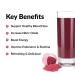 Total Beets Superfood Powder with Nitrates - Cardiovascular Support & Energy Boost - 60 Servings (2-Pack, 7.4 Ounce) - Buy Online on GoSupps.com