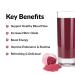 Force Factor Total Beets Superfood Beet Root Powder - Cardiovascular Health Supplement for Energy, Endurance, and Stamina - Black Cherry Flavor, 30 Servings - Buy Online on GoSupps.com