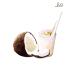 Jiva Organics Organic Coconut Milk 13.5oz (Pack of 12) - Premium Unsweetened, Full 18% Fat, Vegan, Paleo, No Guar Gum, BPA-Free, Keto Friendly - Buy Online on GoSupps.com