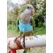 Bird Flight Harness Vest for Parakeets, Cockatiels, Conures, Budgies | Parrot Flight Suit with Leash, Rope, and Handle | Outdoor Training Clothes for Bird Flying Activities | Anti Bite | Medium Blue - Buy Online on GoSupps.com
