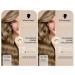 handle Coloration 816 cool ash blonde 2 x 182 ml sustainable hair dye with serum and hair mask protects against visible hair damage for 100 gray coverage