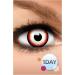 Buy FXCONTACTS Colored Contact Lenses Halloween Red White UNDEAD ZOMBIE - 2 Pieces (1 Pair) | International Shipping Available - Buy Online on GoSupps.com
