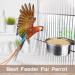5-Pack Stainless Steel Bird Bowls with Clamp - Food and Water Dishes for Parakeets, Cockatiels, Budgies, Conures, Lovebirds, Macaw - Includes Dispenser Spoon - Buy Online on GoSupps.com
