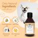 Belly Vegan Dog Shampoo - Fruity Pomelo & Lavender Scent Ideal Puppy Shampoo for All Breeds - Buy Online on GoSupps.com