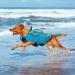 Buy Cit toile Dogs Hoi Life Jacket - Mermaid Tail Vest for Small Medium & Large Dogs - Glau 2XL XXL Mermaid Blue - Buy Online on GoSupps.com