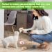 18 Pieces Interactive Cat Toys - Plush Mice & Cat Mint Fun for Kittens - International Shipping Available - Buy Online on GoSupps.com