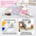 Mezrkuwr Katzenbody for Cats - Soft One-Piece Surgical Recovery Suit & Spay Collar Alternative (Medium) - Ideal After Castration - Buy Online on GoSupps.com