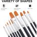 GOTIDEAL Round Pointed Tip Paint Brush Set - 10 Pcs | Nylon Hair Brushes for Acrylic, Watercolor, Oil, Gouache | Perfect for Kids & Adults | Body, Face, Nail Art, Rock Painting - Buy Online on GoSupps.com