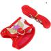 Fdit Small Animals Harness and Leash Set Soft Harness with Lead for Rabbits Bunny Rabbits Adjustable Harness (S) - Buy Online on GoSupps.com