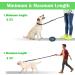 Dog Leash Bungee Double Handle Shock Absorbing Reflective Elastic Bungee Lead Soft Double Padded 2 Handles for Traffic Safety Control Training Perfect for Medium to Large Dogs Green - Buy Online on GoSupps.com