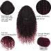 ColorfulPanda 16 Afro Curly Red Ombre Ponytail Hairpiece for Women - Lightweight, Two Clips, Adjustable Drawstring - Perfect for Stylish Looks! - Buy Online on GoSupps.com