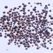 Mixed 1000pcs 2-6mm Gold Rose AB Resin Nail Rhinestones 3D Non Hotfix Glitter Round Flatback Nail Stones Strass Gems Diamonds DIY Nail Art Decoration (15 Gold Rose AB) - Buy Online on GoSupps.com