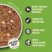 Lily's Kitchen Natural Wet Dog Food - Grain-Free Wild Meat & Wild Boar P t (6 x 400g) - Premium Adult Dog Nutrition - Buy Online on GoSupps.com