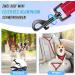 Nasjac Double Dog Leash - No-Tangle 360 Rotatable Bungee Leash for Small Medium & Large Dogs | Adjustable Shock-Damping & Reflective | Perfect for Running & Training - Buy Online on GoSupps.com